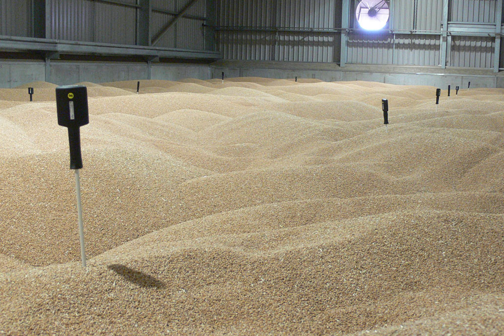 Wireless Probes - Easy to use temperature probes